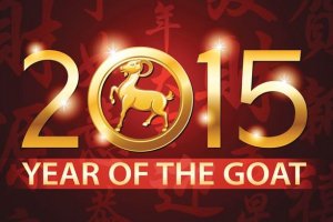 2015 schaap jaar