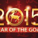 2015 schaap jaar